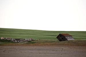 antiguo granero inclinado en el pintoresco saskatchewan foto