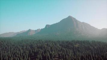 prachtig natuurlijk landschap in de zomer video