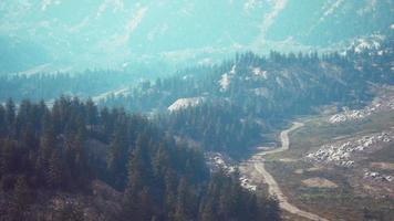 vista de pájaro de la carretera que atraviesa hermosos bosques de pinos verdes video