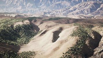 ampia vista del deserto della California video