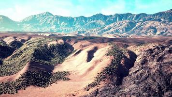 ampia vista del deserto della California video