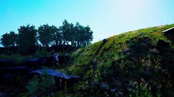 Nebeliger Sommermorgen in den Bergen video