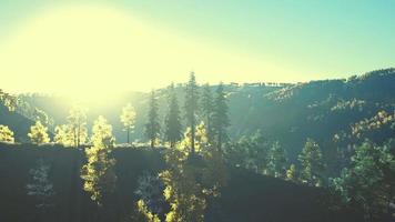 outono escandinavo como floresta e paisagem com cores vibrantes de outono video