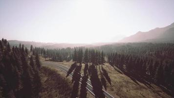 Aerial view on a winding road in summer day video