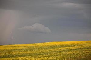 acercándose a la lluvia con relámpagos en el pintoresco saskatchewan foto