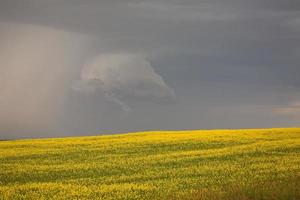 Approaching rain in scenic Saskatchewan photo