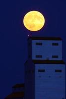 Full moon over Tuxford grain elevator photo