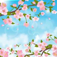 Spring Cherry Blossom Background vector