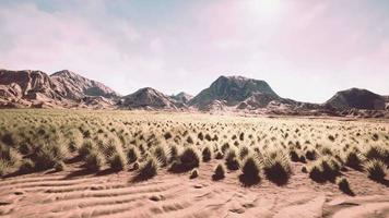 belle dune de sable orange jaune dans le désert d'asie centrale