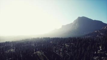 Erstaunliche Aussicht auf die Berge im Norden Kanadas im Sommer video