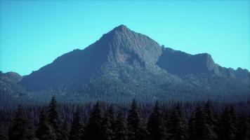 majestuosas montañas con bosque en primer plano en canadá video