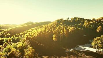 Aerial drone view of a mountain forest with colorful autumn trees video