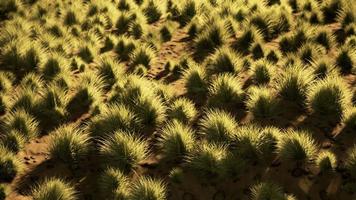 paisagem do deserto no parque nacional da cratera video