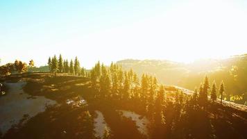 Beautiful sunset view in cedar forest in front of sayan mountain range video