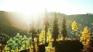 bela vista do pôr do sol na floresta de cedro em frente a cordilheira de sayan video