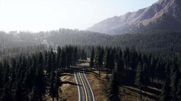 vue aérienne naturelle sur la route et la forêt à l'automne video