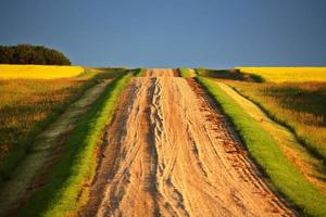 hermosos colores a lo largo de una carretera rural de saskatchewan foto