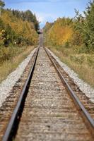 Railroad Tracks during an Alberta autumn