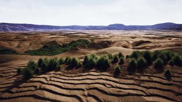 deserto pietroso nell'entroterra australiano video