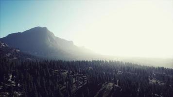 bella vista del tramonto nella foresta di cedri di fronte alla catena montuosa di Sayan video