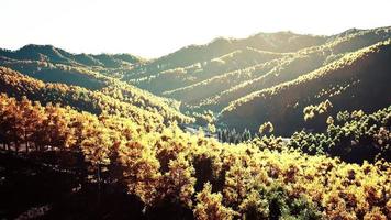 Colorful mountains range in autumn season with red orange and golden foliage video