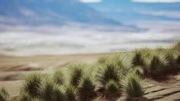 paisagem do deserto no parque nacional da cratera video