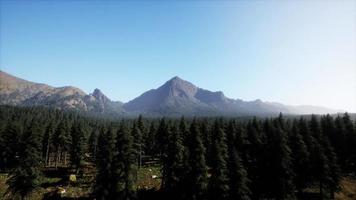 majestosas montanhas com floresta em primeiro plano no canadá
