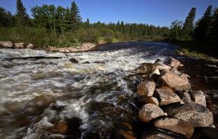 rápidos del río peepaw en el pintoresco saskatchewan foto