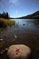 hoja sobre roca en los lagos gemelos en la pintoresca alberta foto