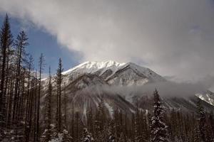Rocky Mountains in winter photo