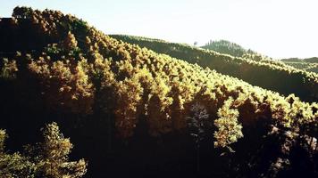 View on autumn forest in mountains and blue sky of Switzerland video