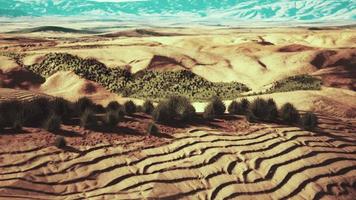 belle dune de sable orange jaune dans le désert d'asie centrale video