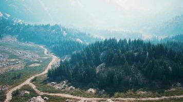 Aerial top view of summer green trees in forest in Swiss Alps video