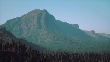 montagnes majestueuses avec premier plan forestier au canada video