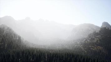 hermosa vista de la puesta de sol en el bosque de cedros frente a la cordillera de sayan video