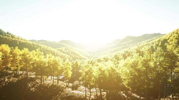 Colorful mountains range in autumn season with red orange and golden foliage video