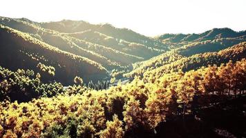 Aerial drone view of a mountain forest with colorful autumn trees
