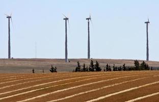 Parque eólico detrás de franjas de grano en saskatchewan foto