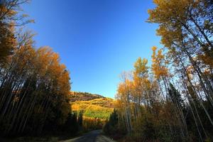 Autumn colors along Northern British Columbia road photo