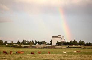 arco iris aterrizando detrás de bengough saskatchewan foto