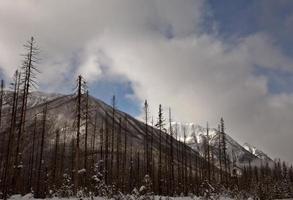 montañas rocosas en invierno foto