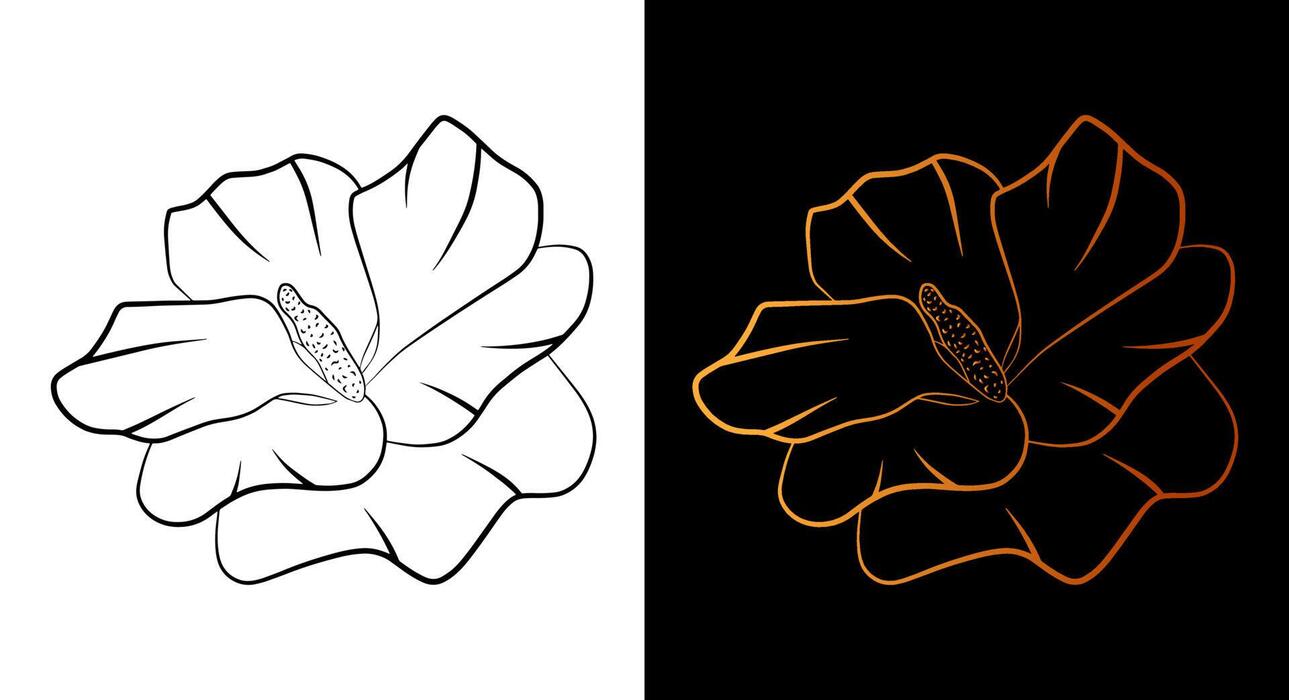 Flower Line Drawing Vector Art, Icons, and Graphics for Free Download