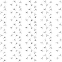 Seamless pattern background traces of birds. Black and white vector. art vector