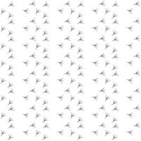 Seamless pattern background traces of birds. Black and white vector. art vector