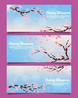 conjunto de banner de flor de cerezo de primavera vector