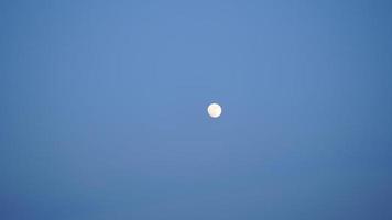 The moon night view with the bright moon in the dark sky at night photo