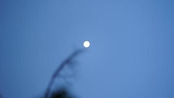 The moon night view with the bright moon in the dark sky at night photo