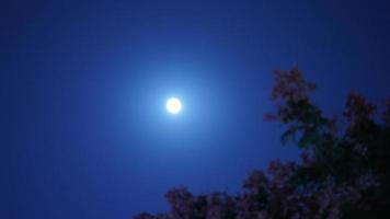 The moon night view with the bright moon in the dark sky at night photo