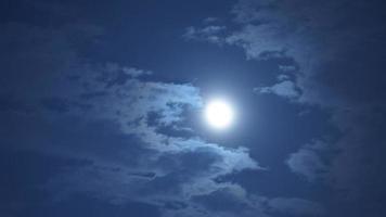 The moon night view with the bright moon in the dark sky at night photo