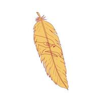 Sea Eagle Head Inside Feather Drawing vector